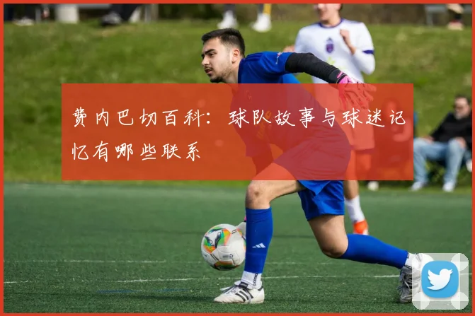 费内巴切百科：球队故事与球迷记忆有哪些联系