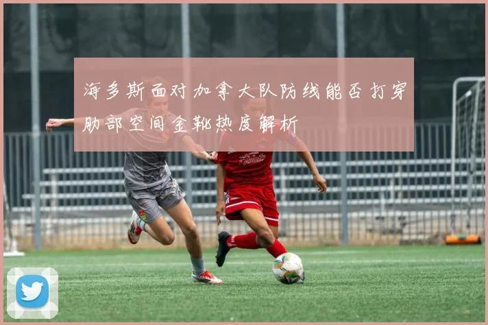 海多斯面对加拿大队防线能否打穿肋部空间金靴热度解析