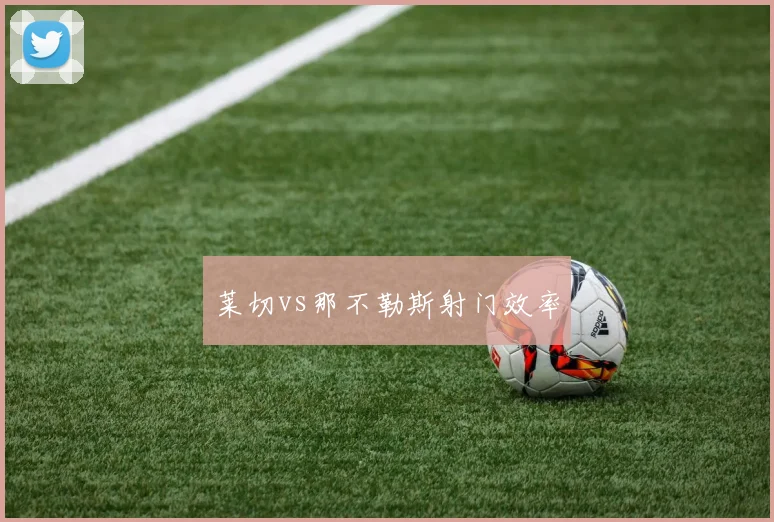 莱切vs那不勒斯射门效率