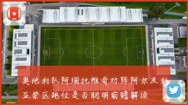 奥地利队阿瑙托维奇对阵阿尔及利亚禁区跑位是否聪明前瞻解读